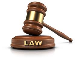  Disability Rights and Reasonable Adjustments