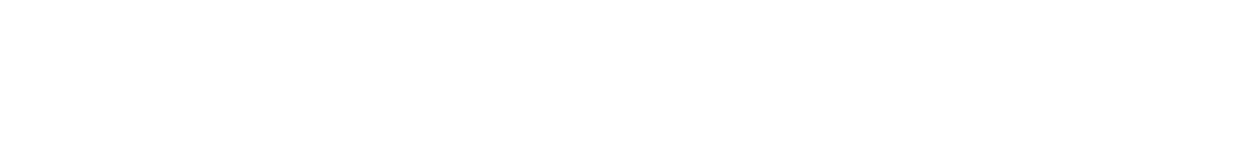 dv-logo